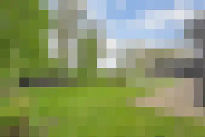 Hogeweg 15 Kamperveen thumbnail 40
