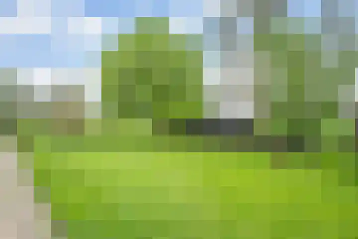 Hogeweg 15 Kamperveen thumbnail 41