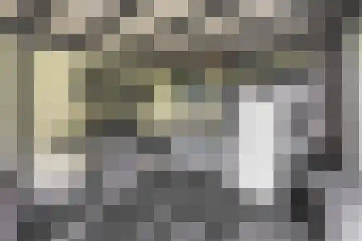 Hogeweg 15 Kamperveen thumbnail 45