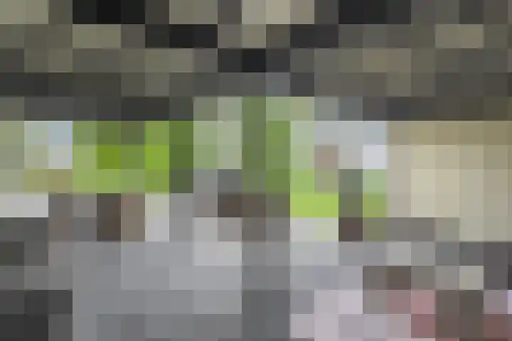 Hogeweg 15 Kamperveen thumbnail 46