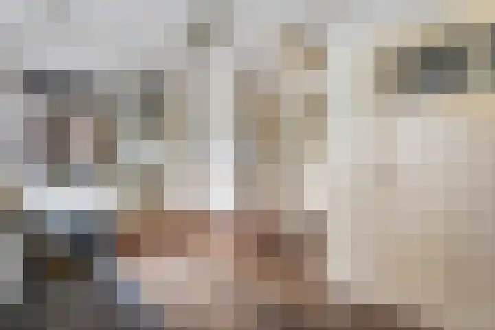 Hogeweg 15 Kamperveen thumbnail 5