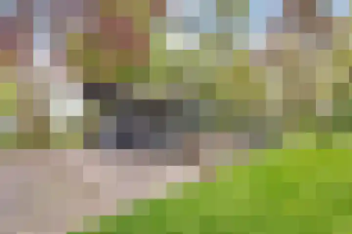 Hogeweg 15 Kamperveen thumbnail 54