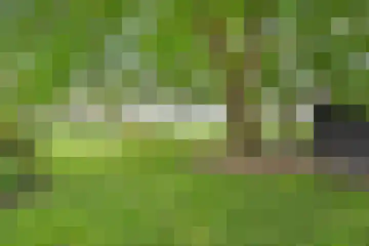 Hogeweg 15 Kamperveen thumbnail 56