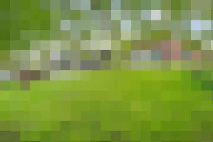 Hogeweg 15 Kamperveen thumbnail 58