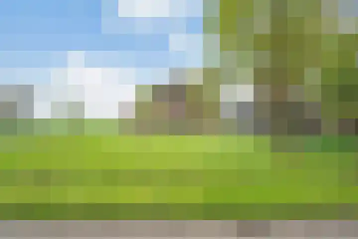 Hogeweg 15 Kamperveen thumbnail 63