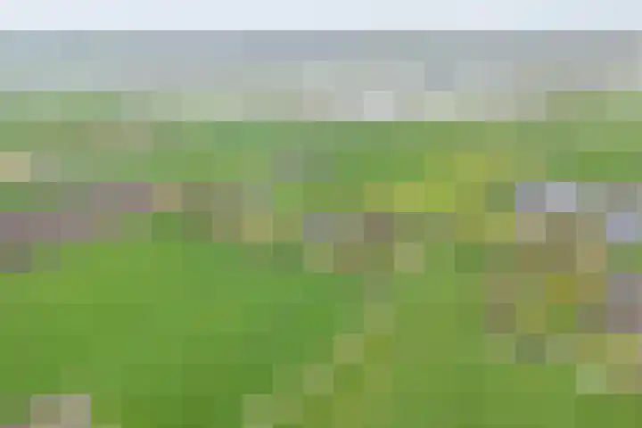Hogeweg 15 Kamperveen thumbnail 64