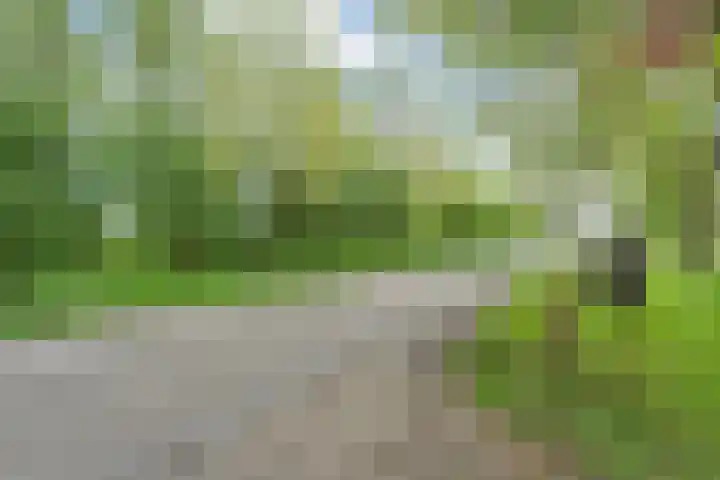 Hogeweg 15 Kamperveen thumbnail 67