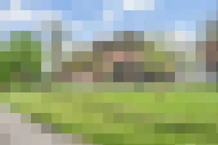 Hogeweg 15 Kamperveen thumbnail 76