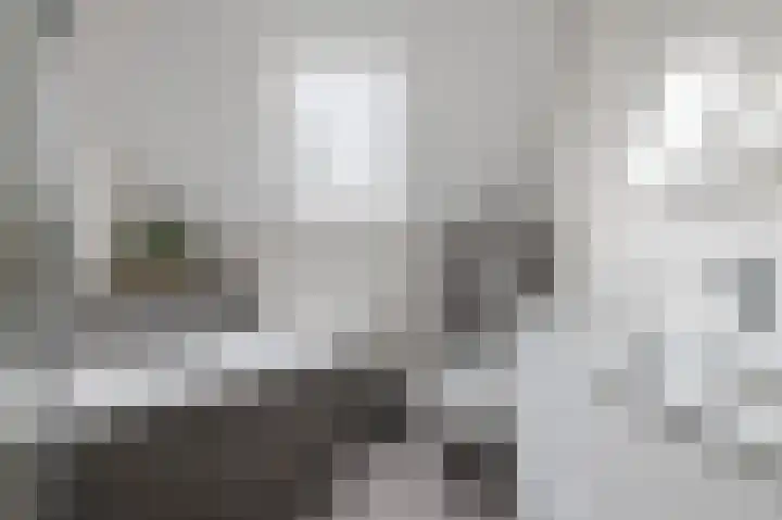Hogeweg 17 Bathmen thumbnail 14