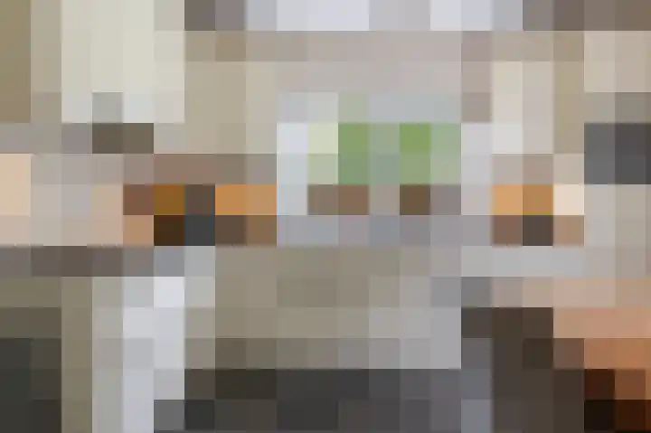 Hogeweg 17 Bathmen thumbnail 8