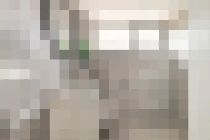 Hogeweg 17 Limmen thumbnail 16