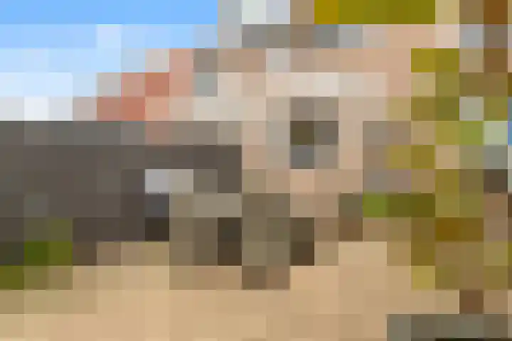 Hogeweg 17 Limmen thumbnail 19