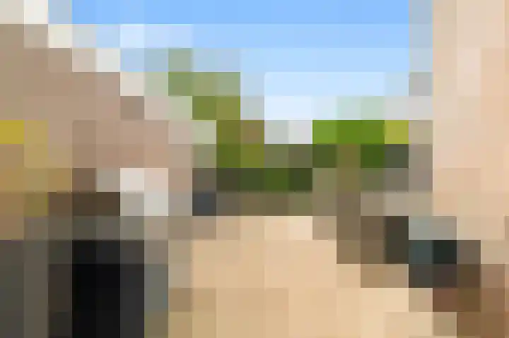 Hogeweg 17 Limmen thumbnail 4