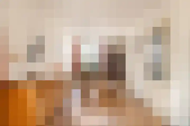 Hogeweg 17 Limmen thumbnail 8