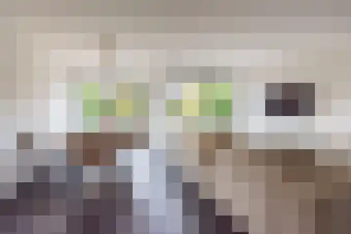 Hogeweg 2 E Ulft thumbnail 12