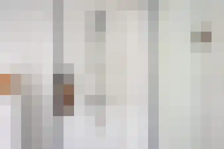 Hogeweg 2 E Ulft thumbnail 25