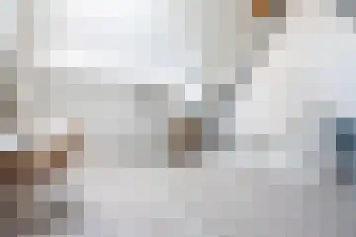 Hogeweg 2 E Ulft thumbnail 34