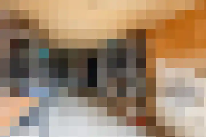 Hogeweg 2 E Ulft thumbnail 36