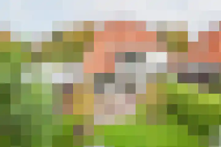 Hogeweg 2 E Ulft thumbnail 37