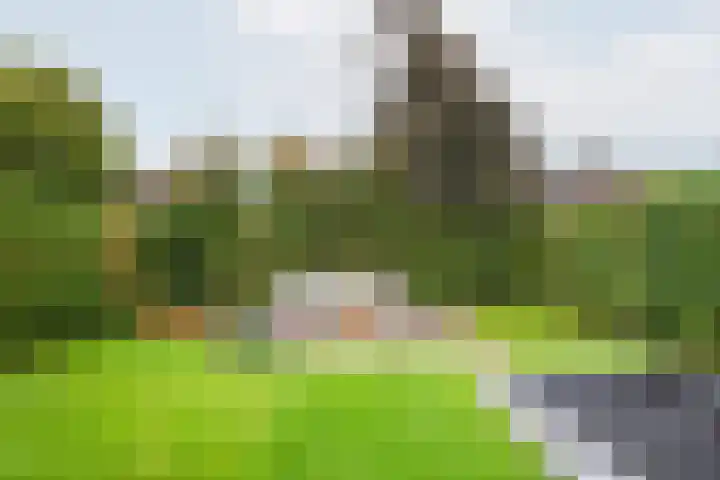 Hogeweg 2 E Ulft thumbnail 39