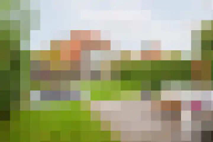 Hogeweg 2 E Ulft thumbnail 4