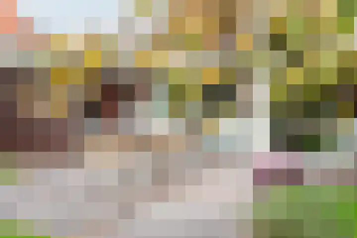 Hogeweg 2 E Ulft thumbnail 40