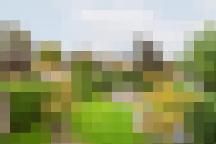 Hogeweg 2 E Ulft thumbnail 42