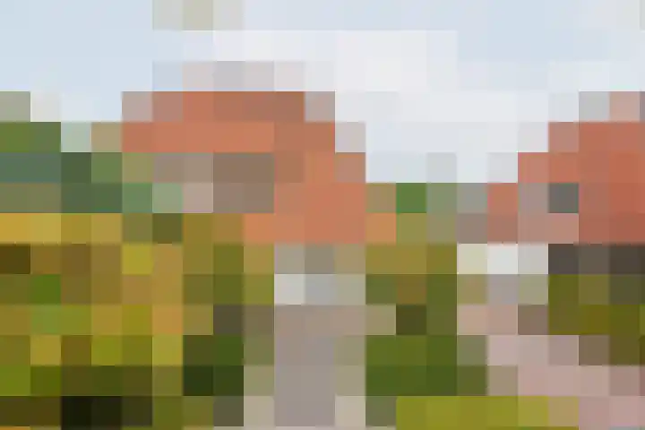 Hogeweg 2 E Ulft thumbnail 5