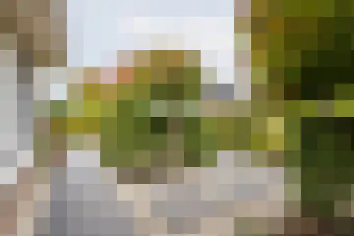 Hogeweg 2 E Ulft thumbnail 6