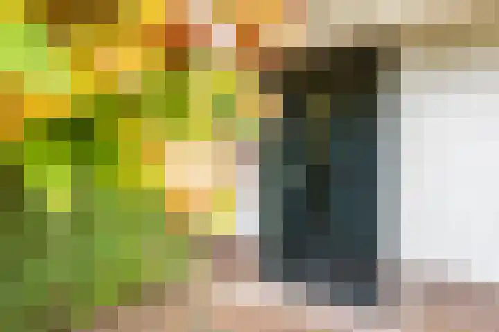 Hogeweg 2 E Ulft thumbnail 7