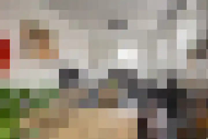 Hogeweg 2 j Simonshaven thumbnail 11
