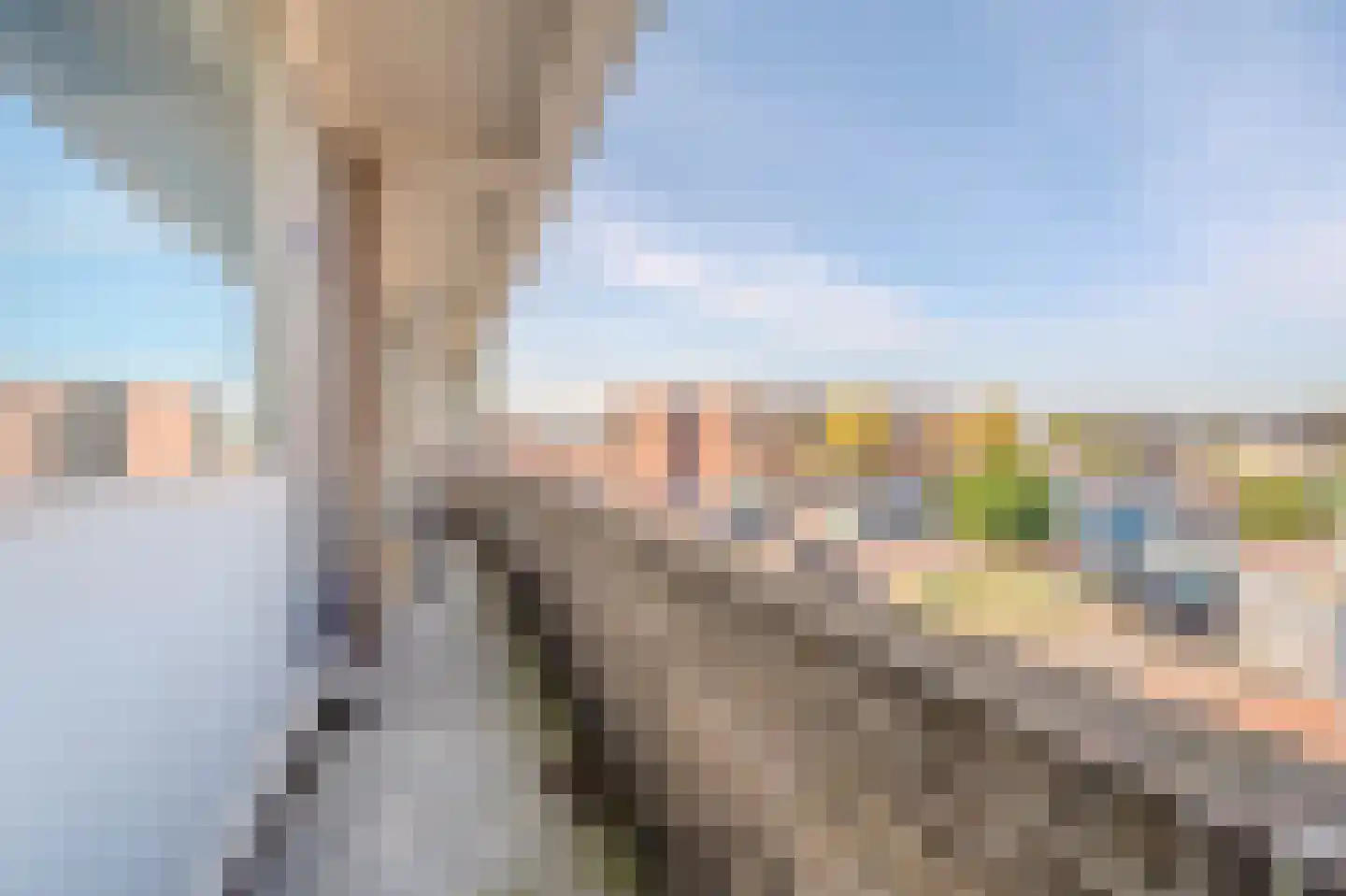 Hogeweg 2 Scheemda thumbnail 18