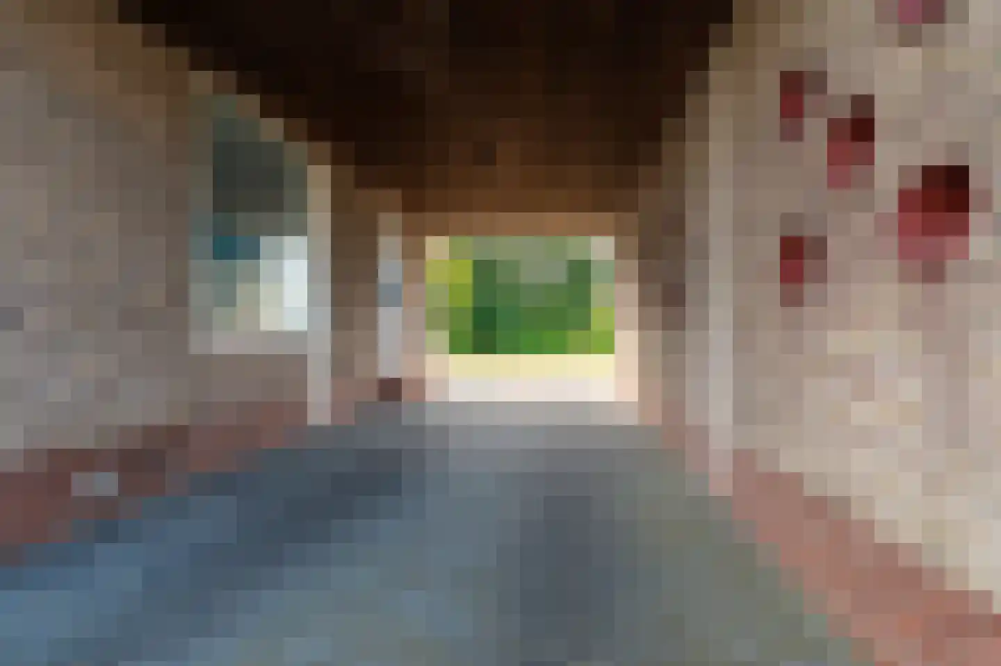 Hogeweg 2 Scheemda thumbnail 38