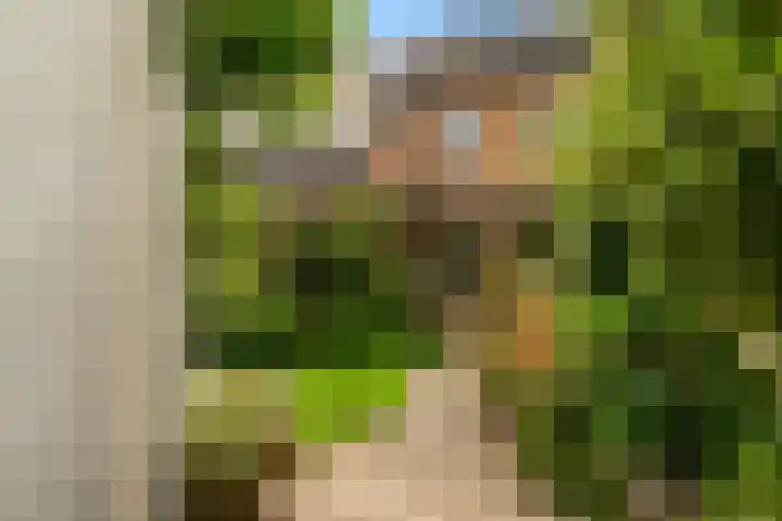 Hogeweg 22 Limmen thumbnail 37