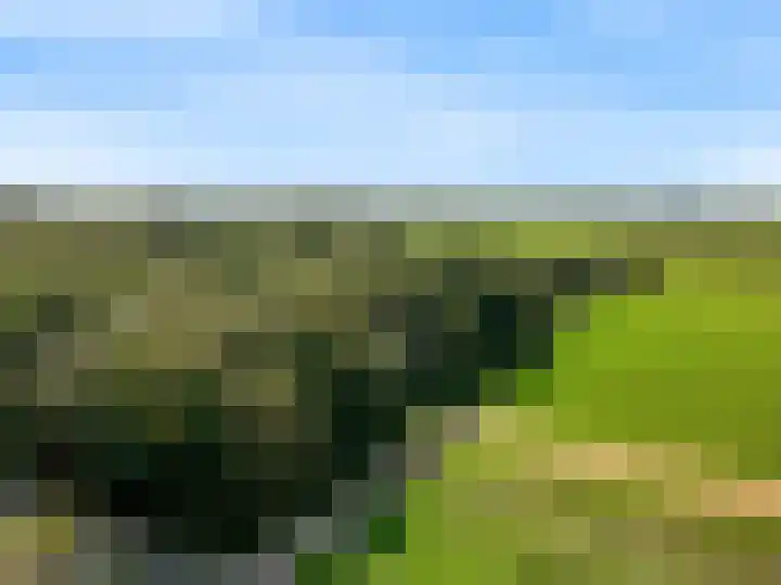 Hogeweg 22 Limmen thumbnail 47