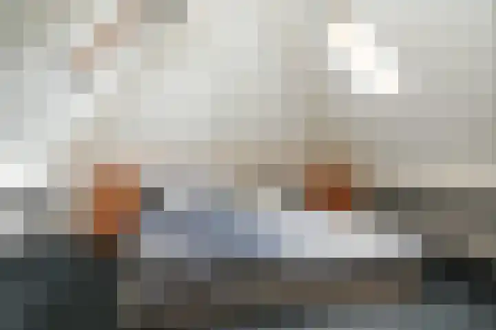 Hogeweg 36 Dreumel thumbnail 37