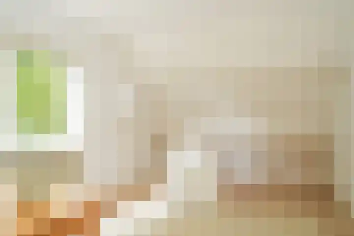 Hogeweg 36 Dreumel thumbnail 38