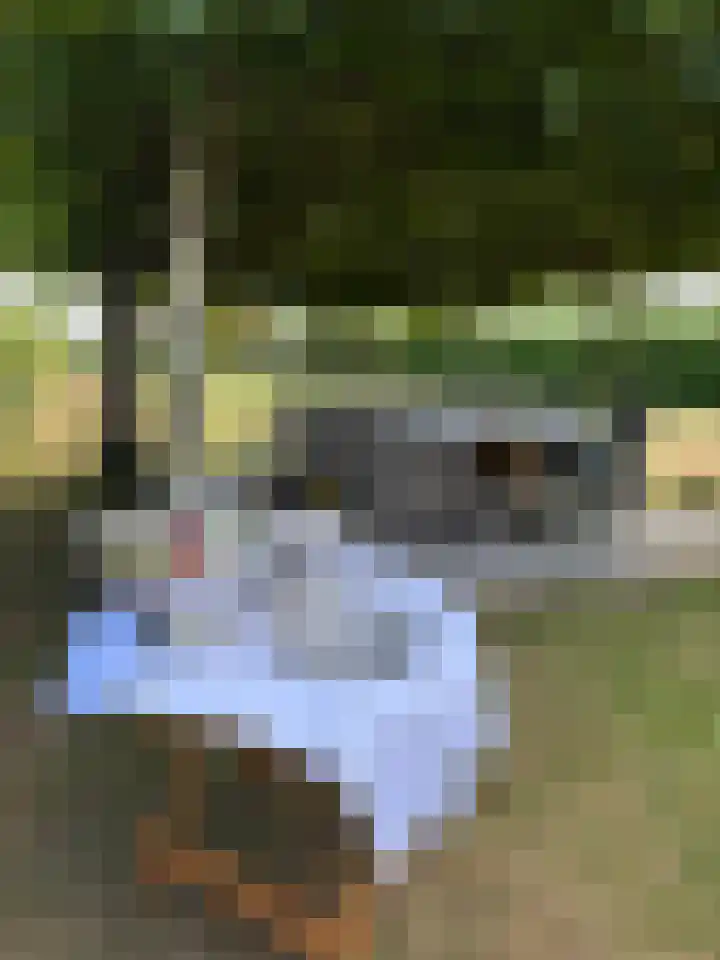 Hogeweg 36 Dreumel thumbnail 49