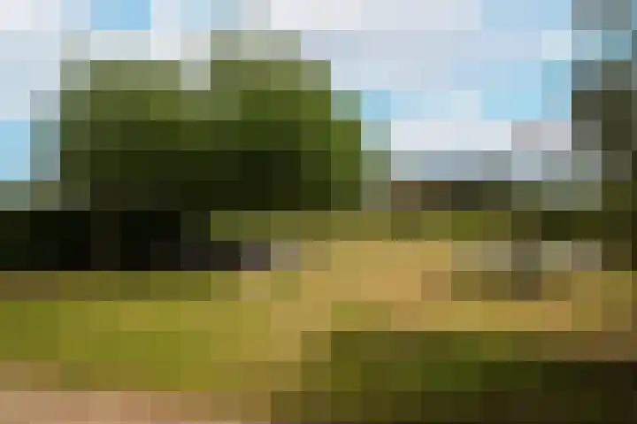 Hogeweg 36 Dreumel thumbnail 53