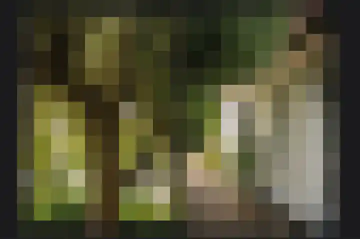 Hogeweg 36 Dreumel thumbnail 56