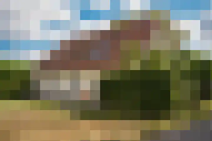 Hogeweg 36 Dreumel thumbnail 57