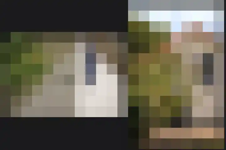 Hogeweg 36 Dreumel thumbnail 61