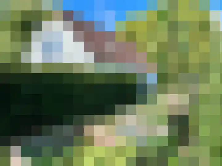 Hogeweg 36 Dreumel thumbnail 69