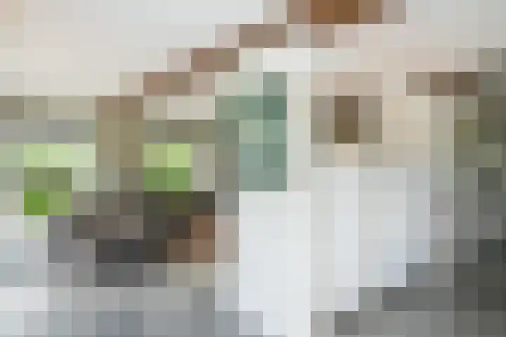 Hogeweg 36 Dreumel thumbnail 9