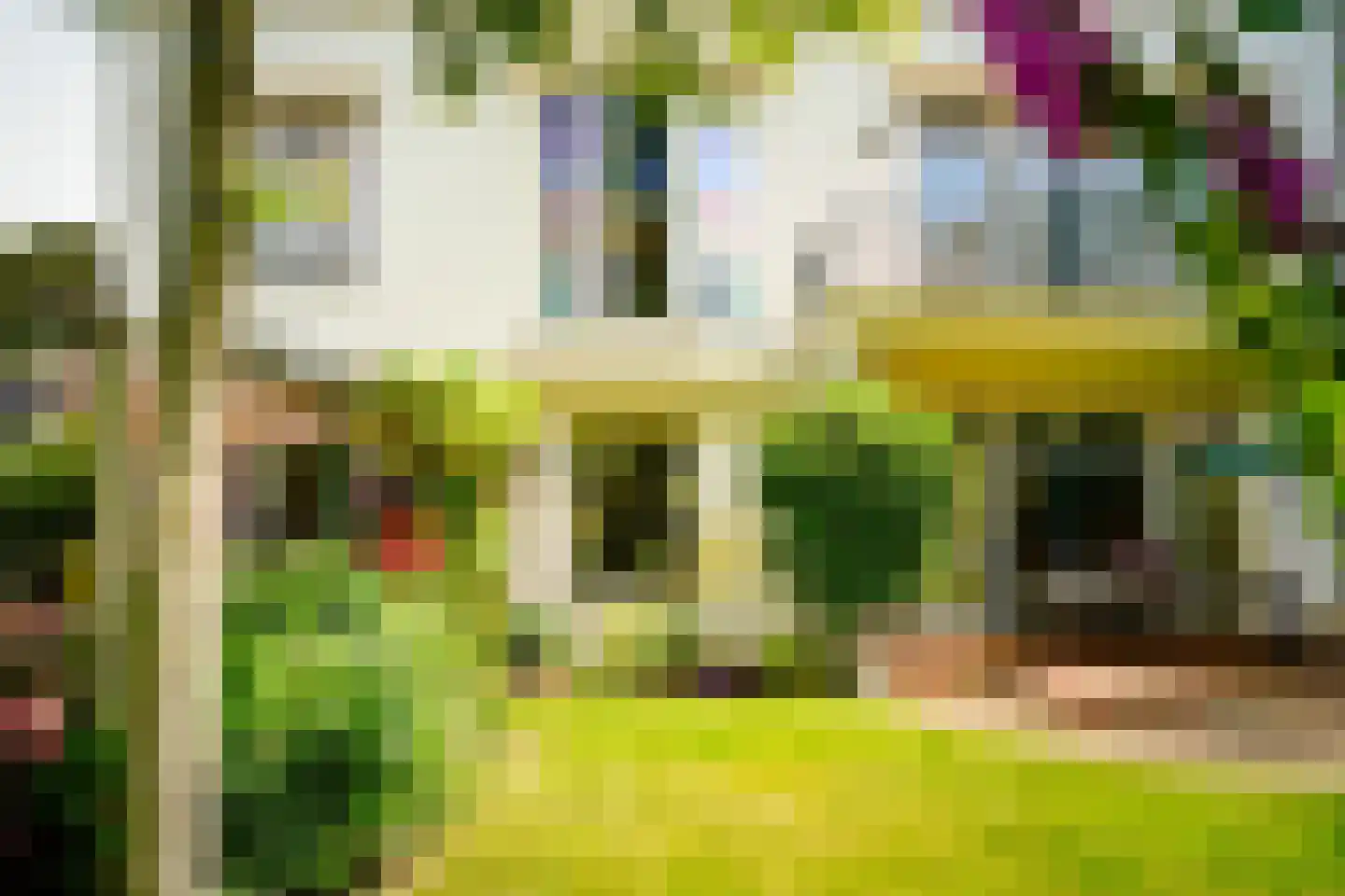 Hogeweg 4 Den Haag thumbnail 10