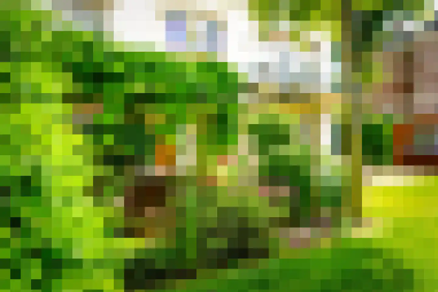 Hogeweg 4 Den Haag thumbnail 11