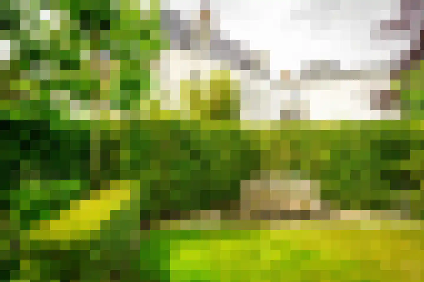 Hogeweg 4 Den Haag thumbnail 12