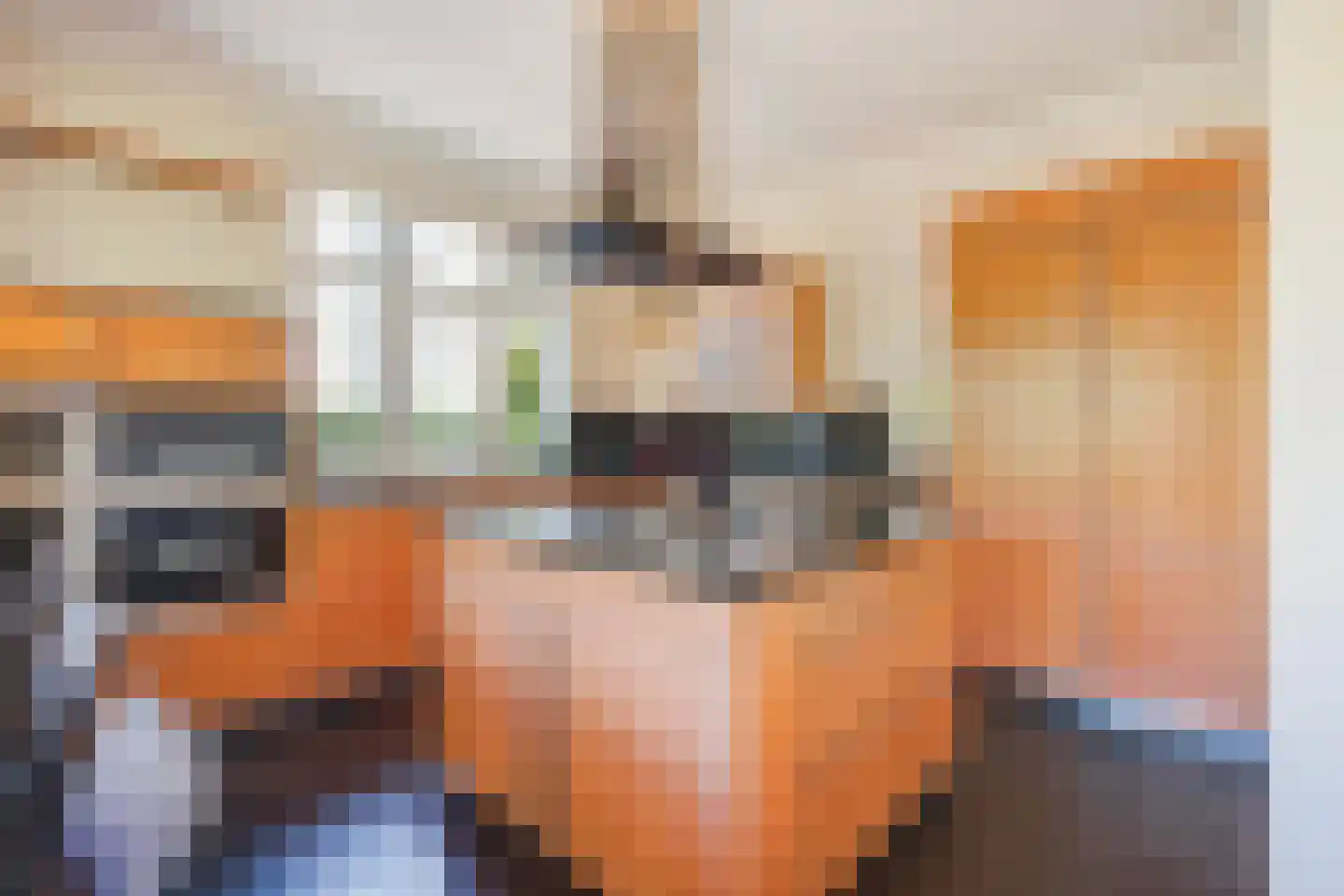 Hogeweg 4 Den Haag thumbnail 14