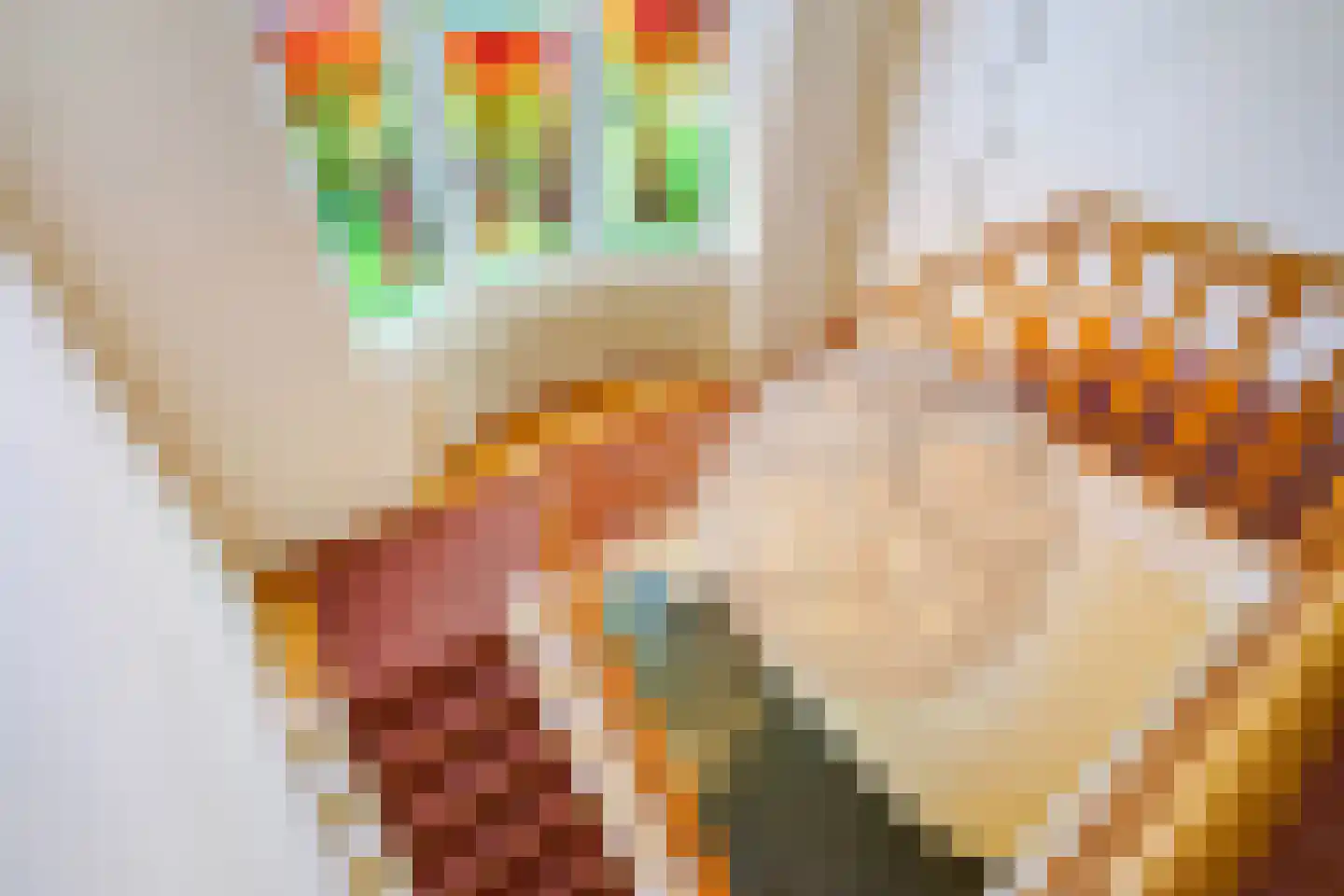 Hogeweg 4 Den Haag thumbnail 17