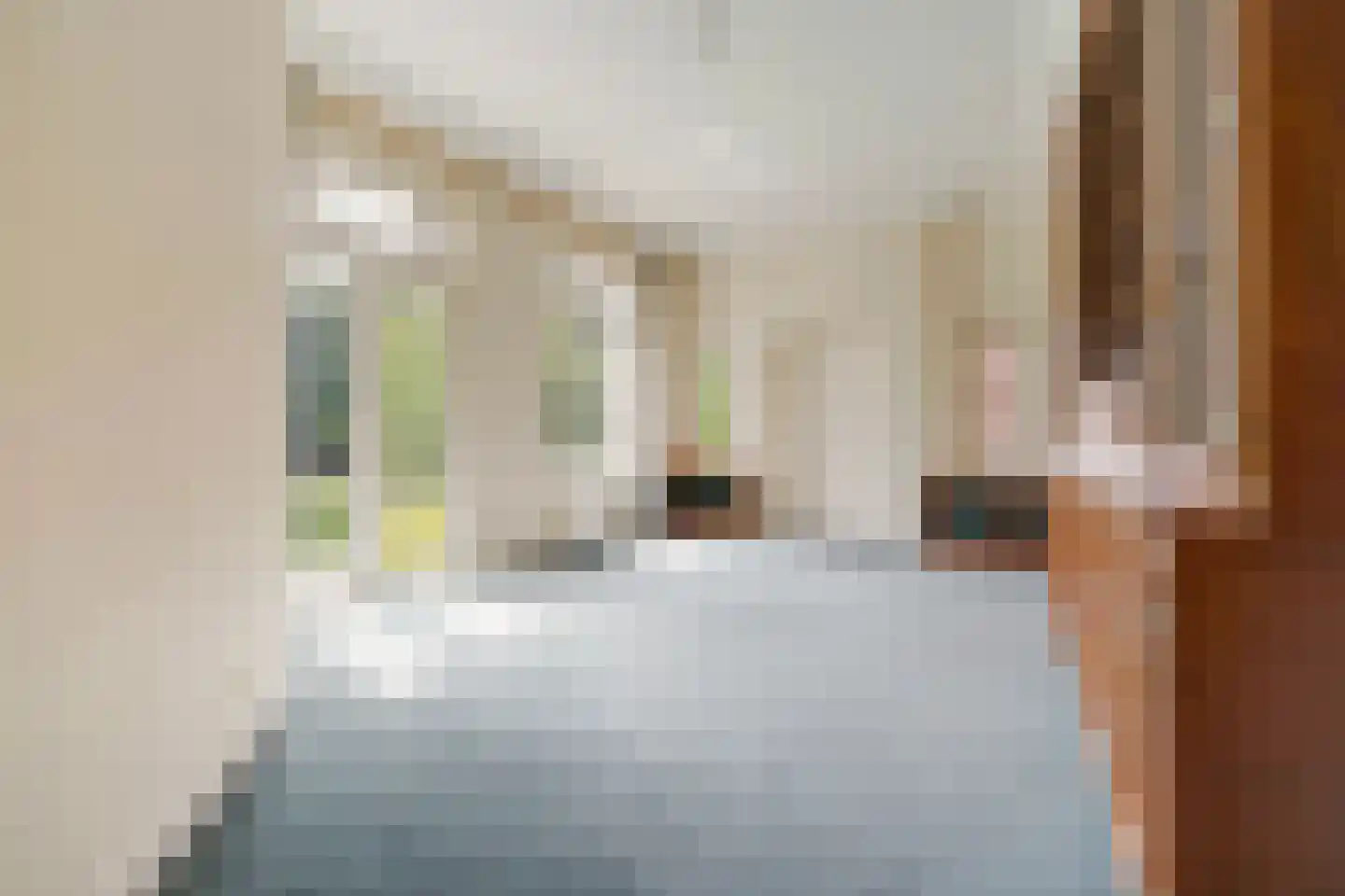 Hogeweg 4 Den Haag thumbnail 18